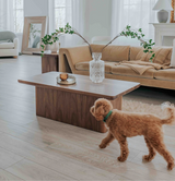 The Rainier Coffee Table